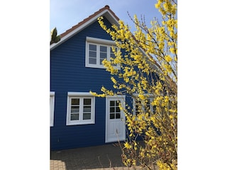Eingangsbereich im Frühling