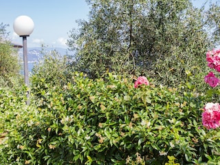 Appartamento Santa Margherita Ligure Registrazione all'aperto 3