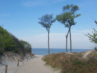Weststrand