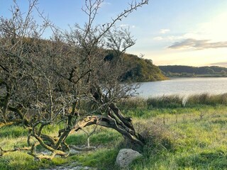 Winderatter See im Herbst (1km entfernt)