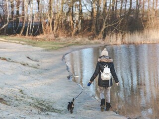 Strandspaziergang im Winter mit Hund