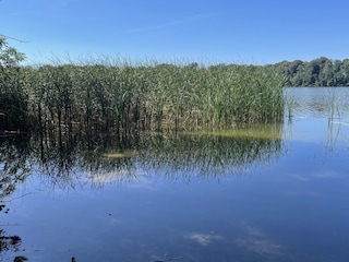 Ferienhaus Plau am See Umgebung 35