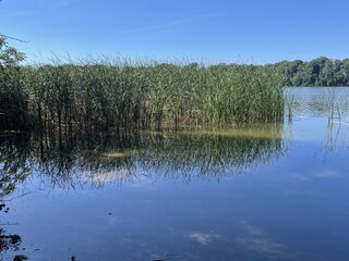 Ferienhaus Plau am See Umgebung 39
