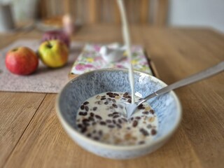 The Allgäu, country of happy cows