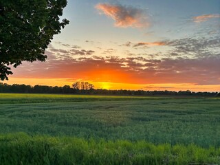 Vakantiehuis Nordhorn Omgeving 30