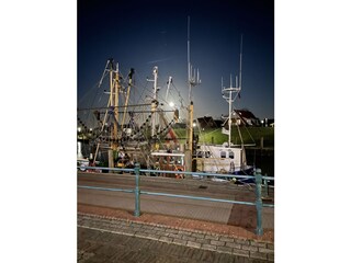 Hafen bei Vollmond