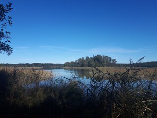 Holiday apartment Tutzing Environment 18