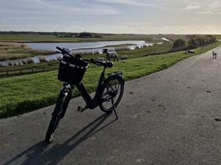 Fahrrad fahren am Deich