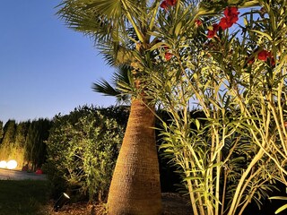 Casa per le vacanze Cala Murada Registrazione all'aperto 14