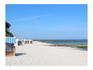 Badestrand mit Strandkorbvermietung