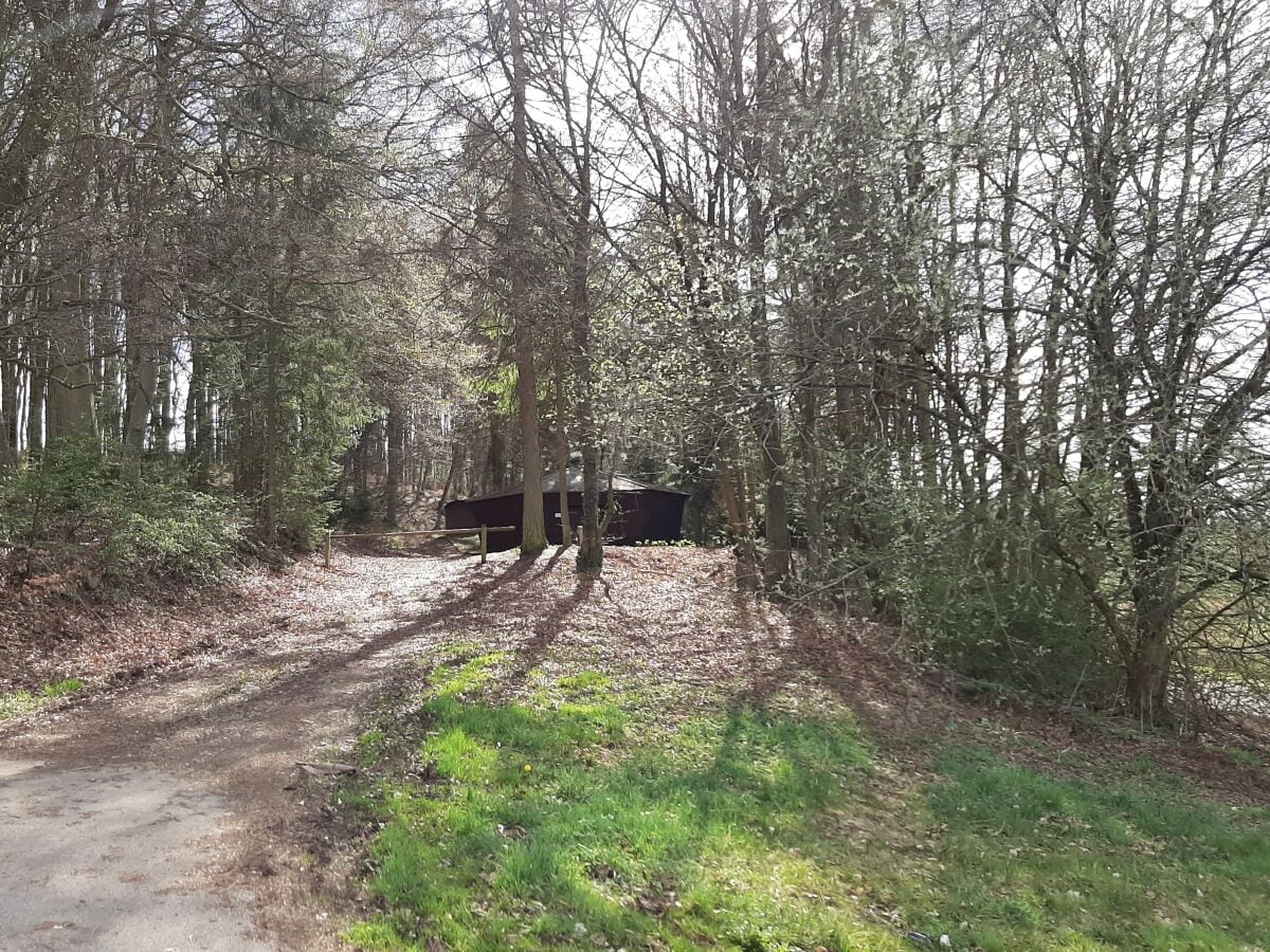 Hütte im Wald bei Üxheim