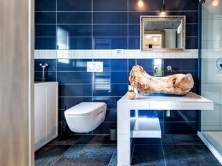 Villa Kanfanar Kenmerken 26