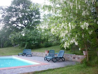 Liegeterrasse am Pool im oberen Garten