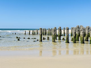 Ferienwohnung Sylt Umgebung 27