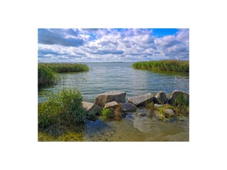 Apartamento de vacaciones Stolpe auf Usedom Entorno 26