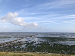 Appartamento per vacanze Tinnum Ambiente 39