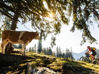 Berglandschaft