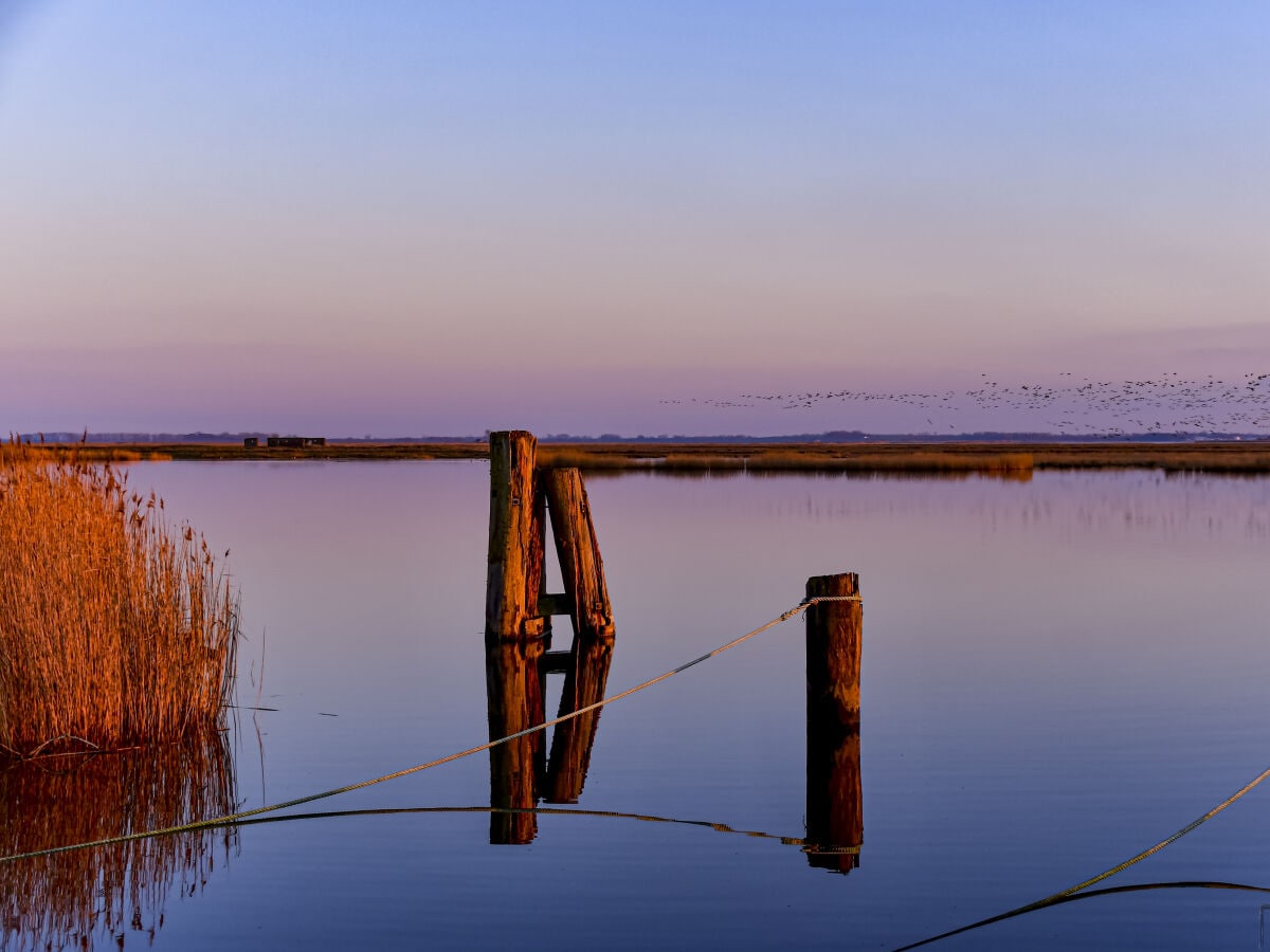 Spaziergänge am Bodden