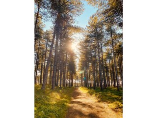 Vakantiehuis Vrouwenpolder Omgeving 25