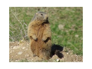 Apartamento de vacaciones Schönau am Königssee Entorno 19