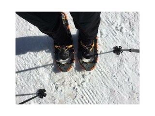Schneeschuhwandern am Jenner