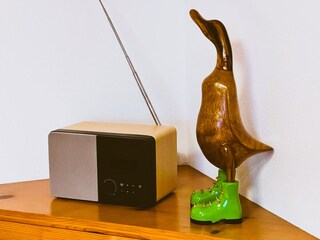 Bluetooth DAB Radio