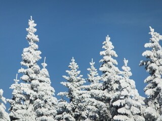 Braunlage im Winter