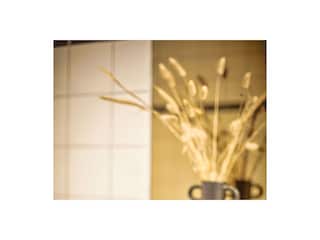 Vakantieappartement Wanneperveen Kenmerken 21
