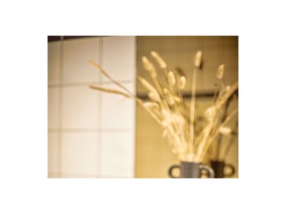 Vakantieappartement Wanneperveen Kenmerken 9