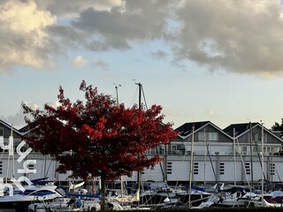 Ferienwohnung Wanneperveen Umgebung 32
