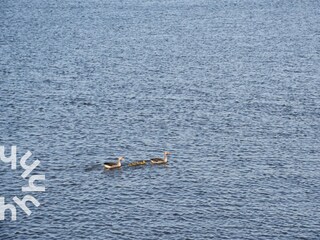 Ferienwohnung Wanneperveen Umgebung 37