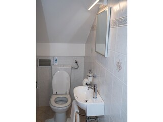 Appartamento per vacanze Vižinada Caratteristiche 18