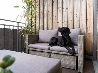 Appartamento Leipzig-Nord Caratteristiche 35