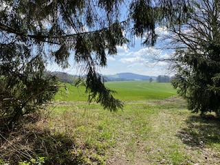 einfach die Natur genießen..