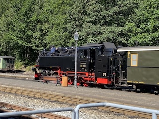 täglich bei uns vor dem Ferienhaus