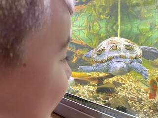 Casa per le vacanze Olbersdorf Ambiente 31