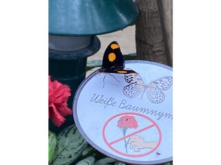 Casa per le vacanze Olbersdorf Ambiente 32