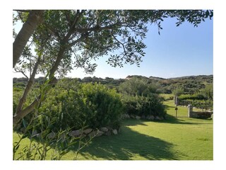 Villa Domus de Maria Registrazione all'aperto 6