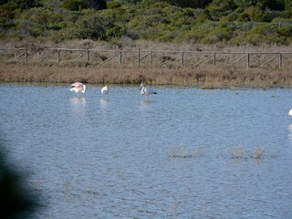 Casa vacanze Domus de Maria Ambiente 23
