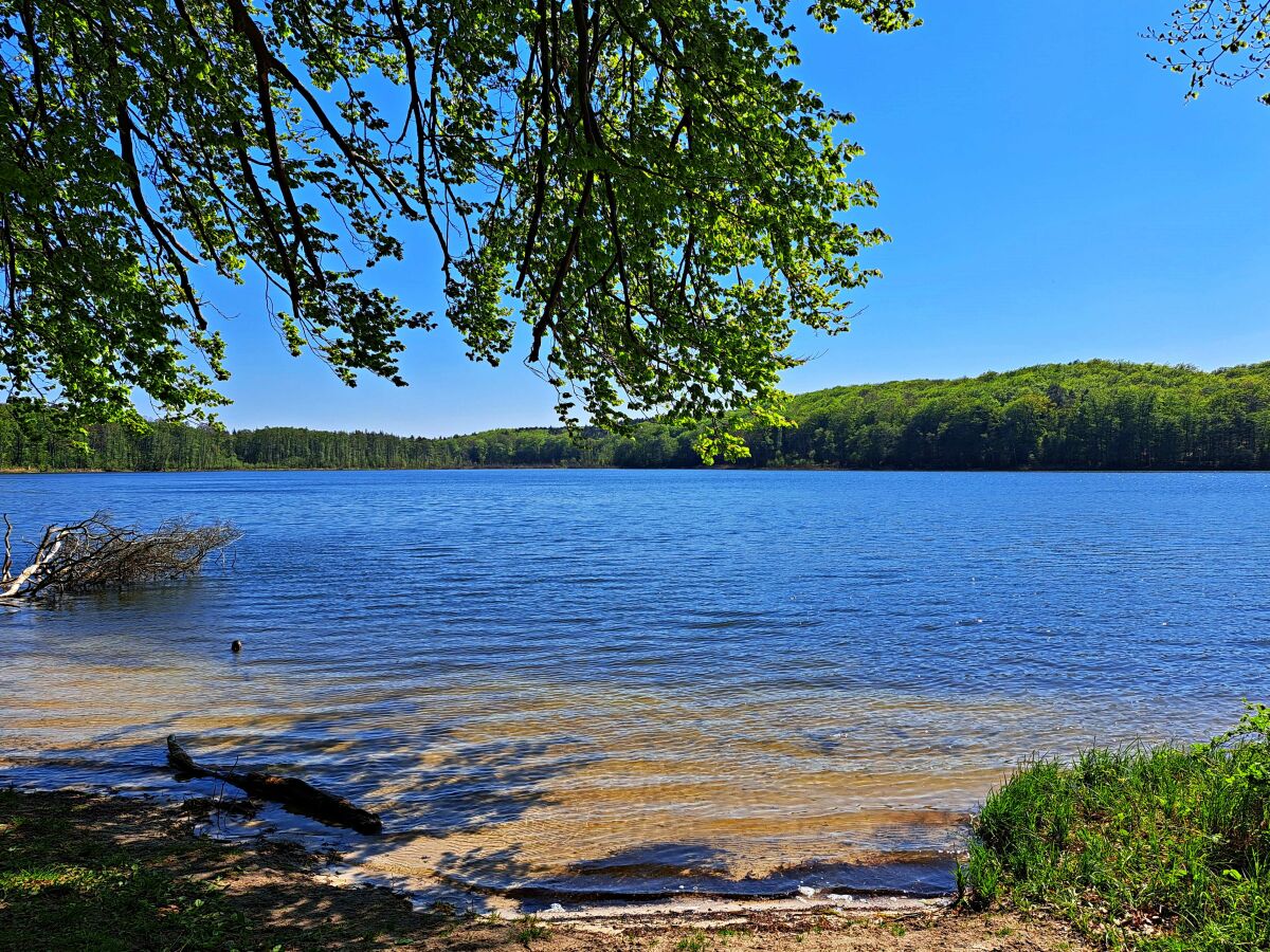 Wolgastsee in Korswandt