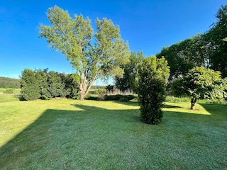 Ausblick von Apartment 2 - Grünanlage hinter dem Haus