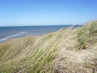 Dünen und Meer