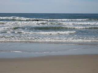 Schwimmen ins Meer