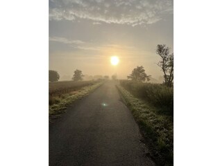 Der Ilmtal-Radweg in Oßmannstedt