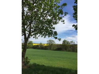 Blick vom Radweg aus