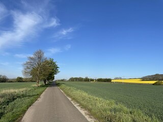 Idylle vor der Haustür, der Ilmtalradweg in Oßmannstedt