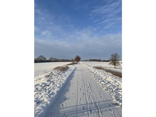 Winterwanderung entlang des Ilmtal-Radweg