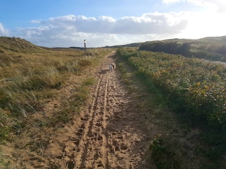 Apartment Den Helder Umgebung 26