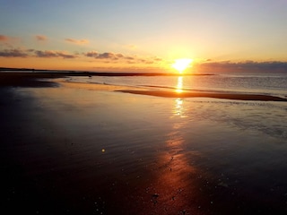 Apartment Den Helder Umgebung 30