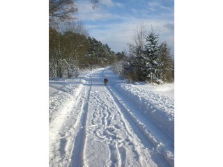 Es ist auch im Winter schön!